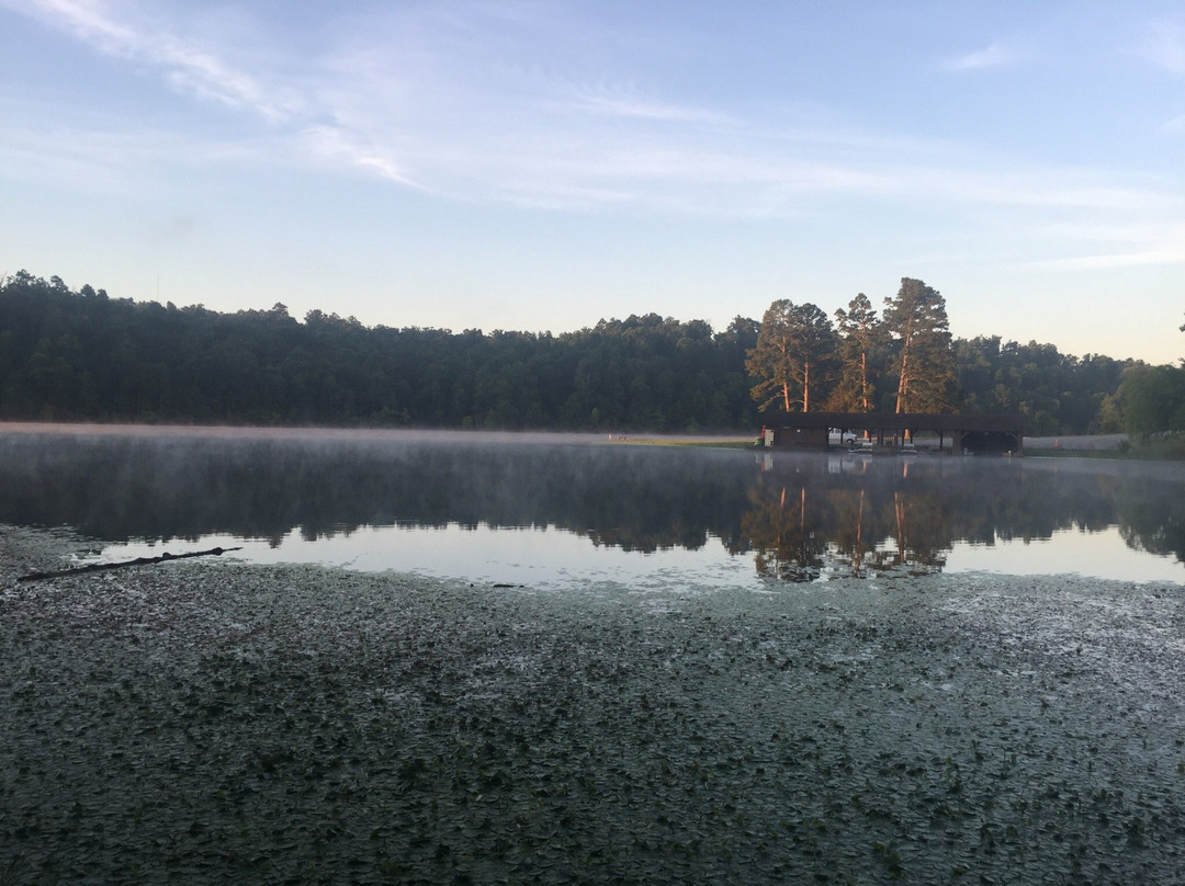Lake Wedington景点图片