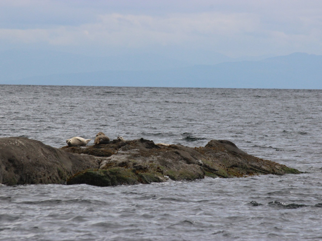 Mayne Inter Island Sea Tours-Mayne Island必去景点