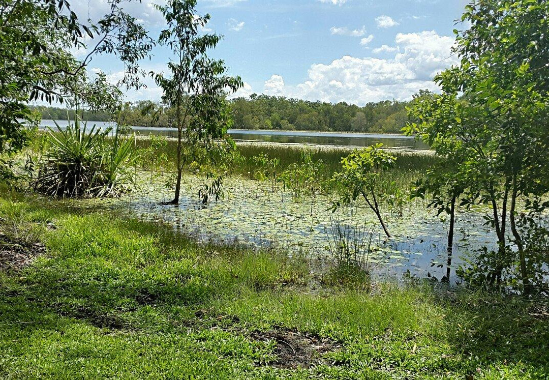 Manton Dam-达尔文市必去景点