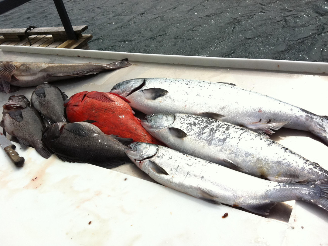 Unreel Fishing Charters-纳奈莫必去景点