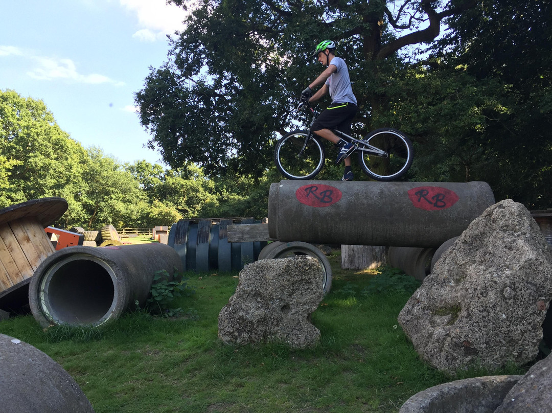 Radical Bikes C.I.C.景点图片