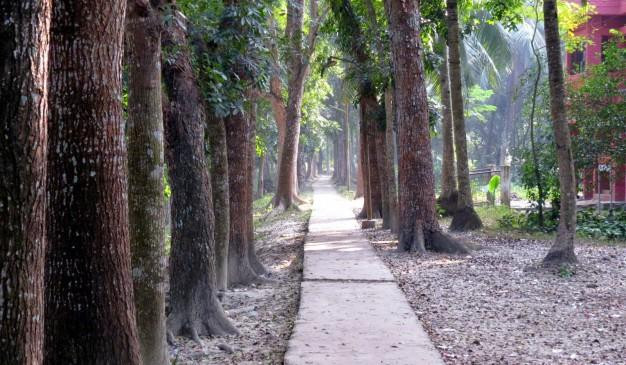 Durga sagar-Barisal City必去景点