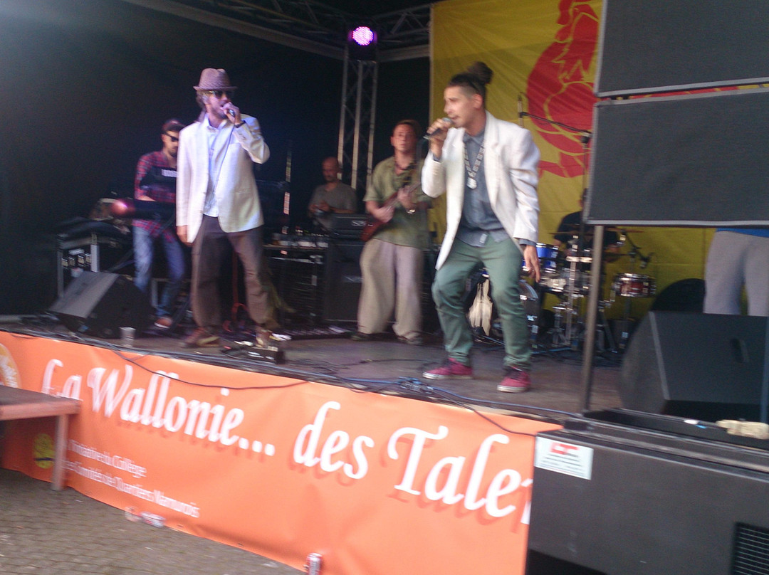Festival of Wallonia-那慕尔必去景点
