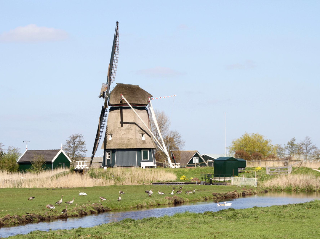 Vijfhuizer Molen-哈勒姆必去景点
