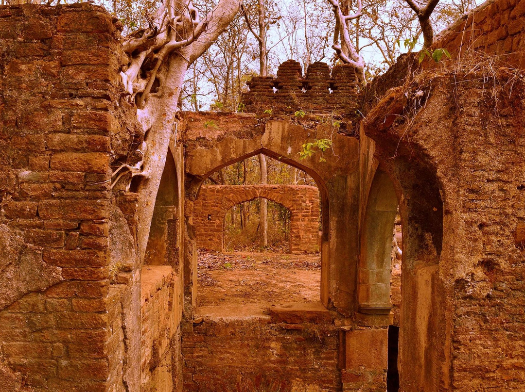 Delawadi旅游攻略图片