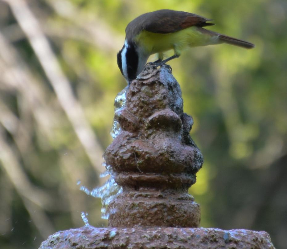 El Rocio Retreat主图