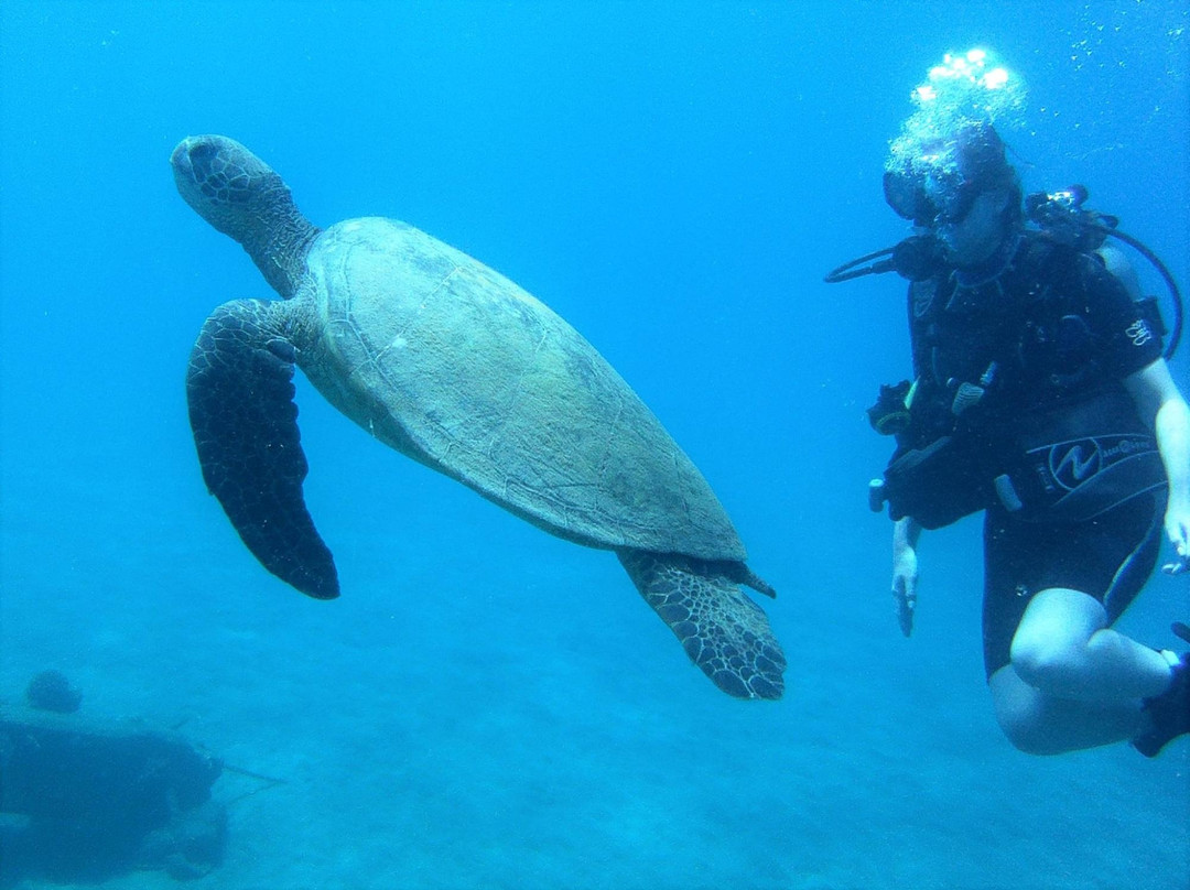 5 Star Scuba-卡纳帕利必去景点