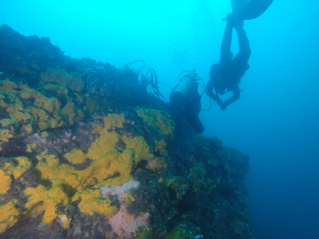 ODC Buceo-Pichidangui必去景点