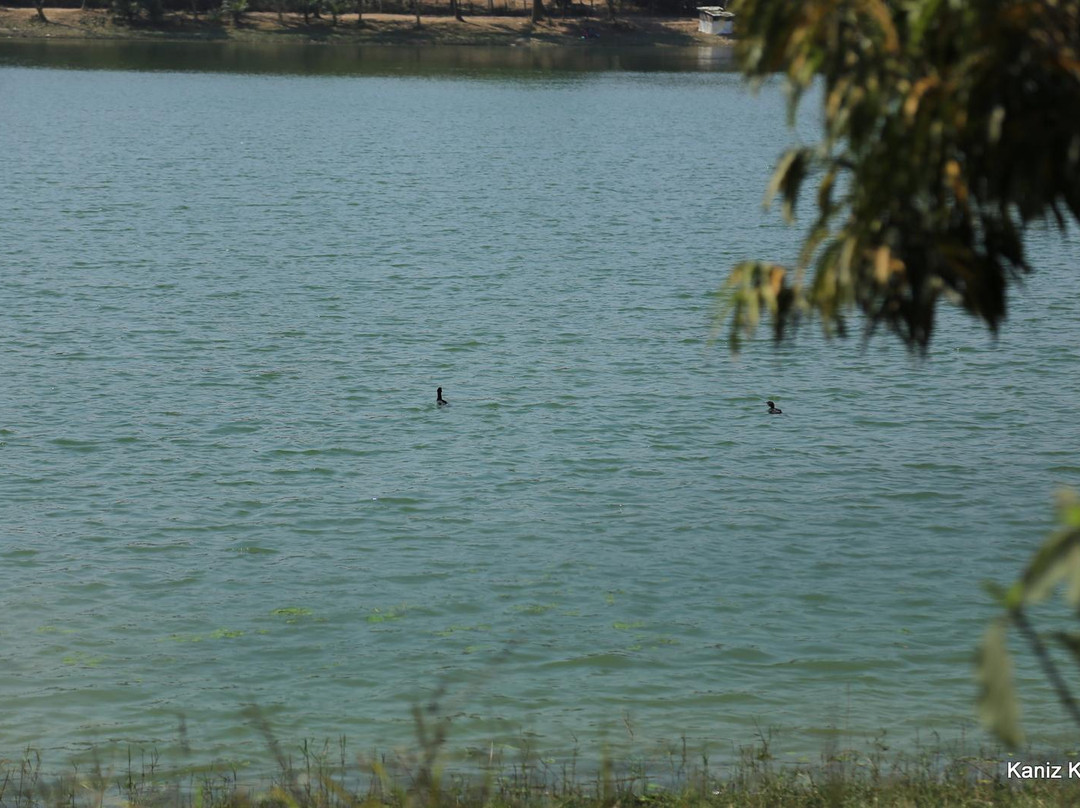 Ramsagar National Park-Dinajpur必去景点