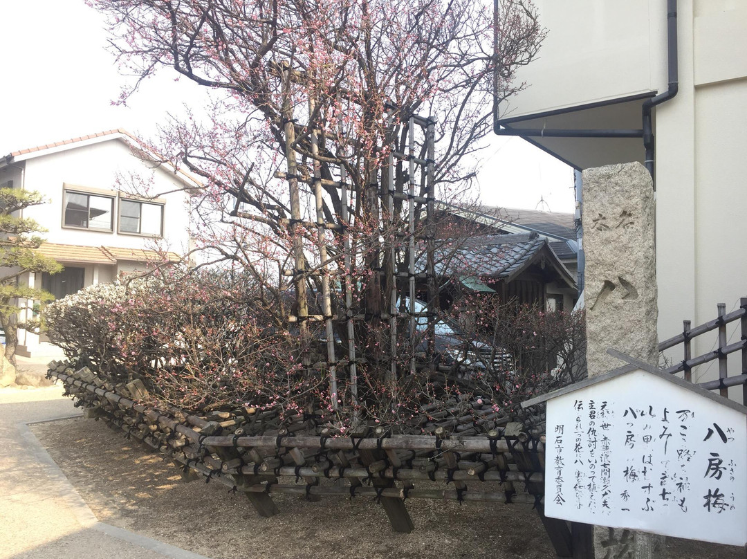 Kakimoto Shrine-明石市必去景点