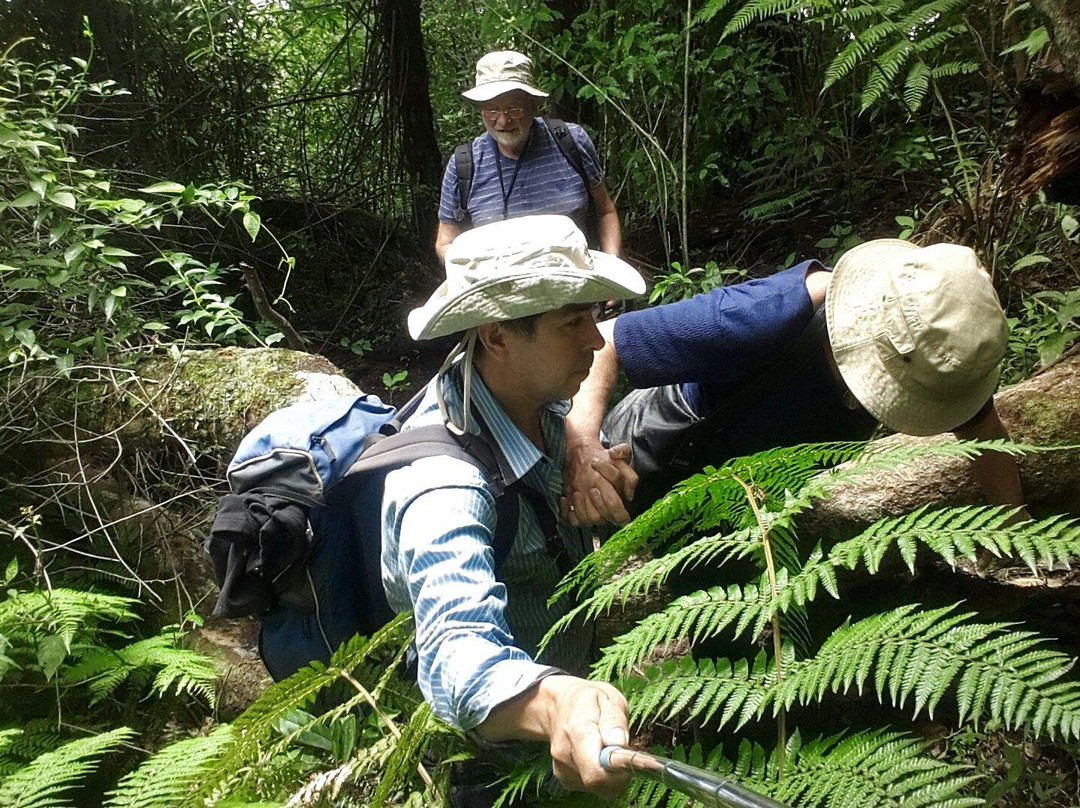 Jukumari Tours - Day Tours-Samaipata必去景点