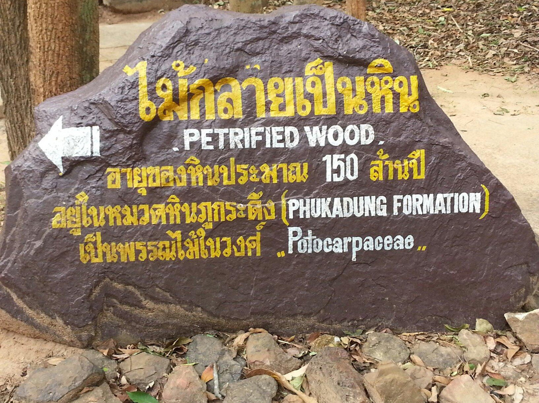 Phu Faek Forest Park-加拉信必去景点