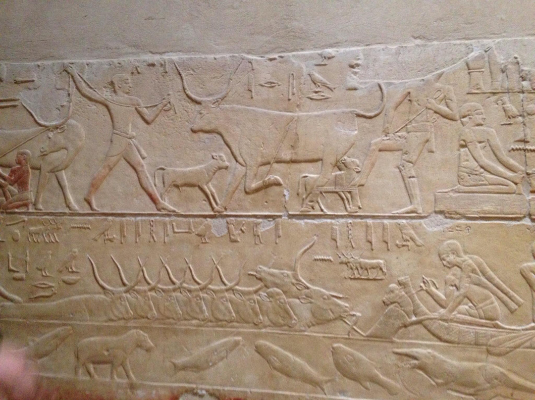 Niankhkhnum and Khnumhotep's Mastaba-Saqqara必去景点