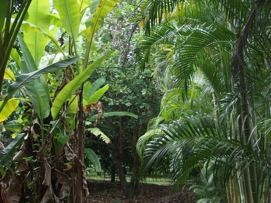 Suan Paiboon-罗勇必去景点