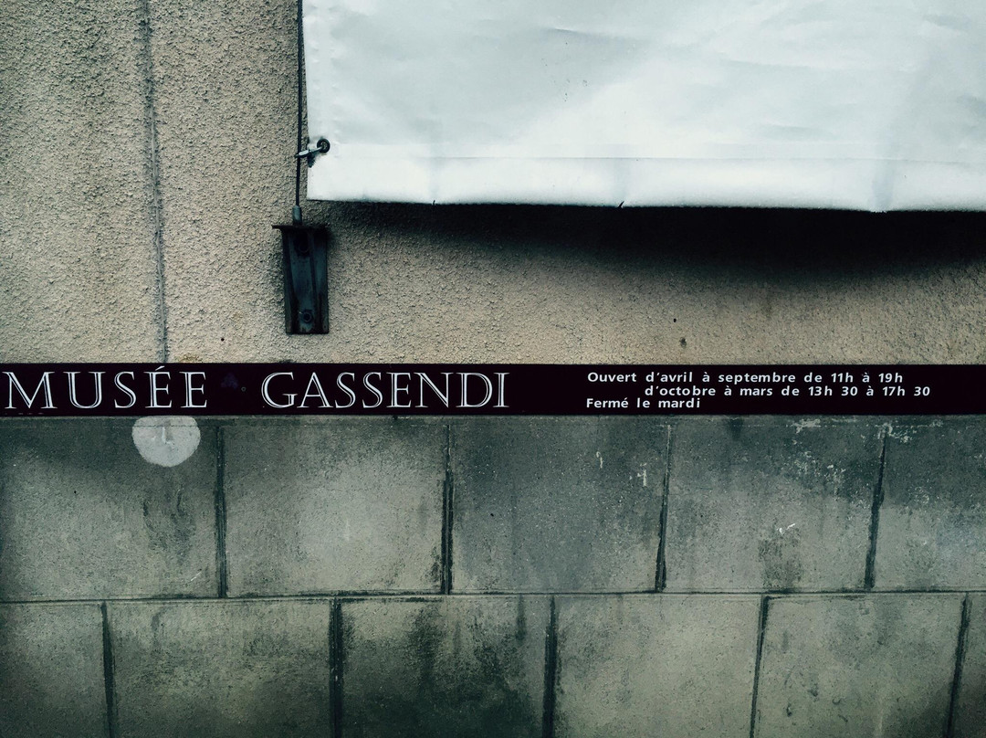 Musée Gassendi景点图片