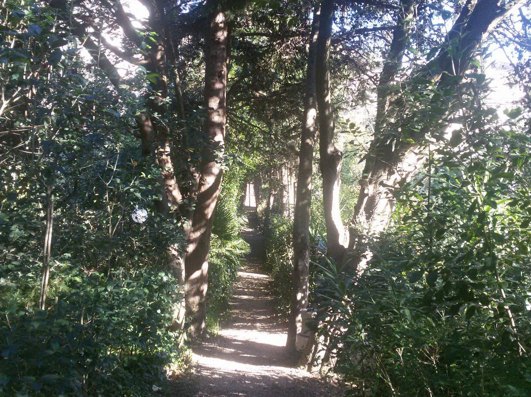 Parco Giardino dei Ligustri - Giardino Pittoresco-Loreto Aprutino必去景点