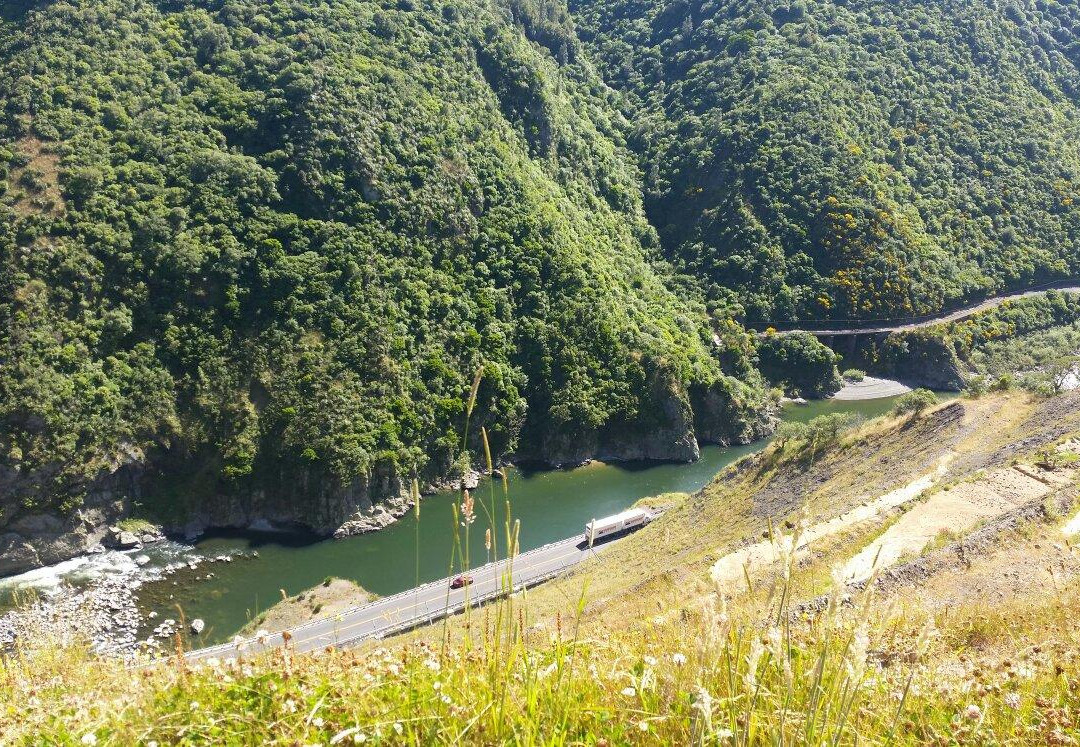 Manawatu Gorge Track景点图片