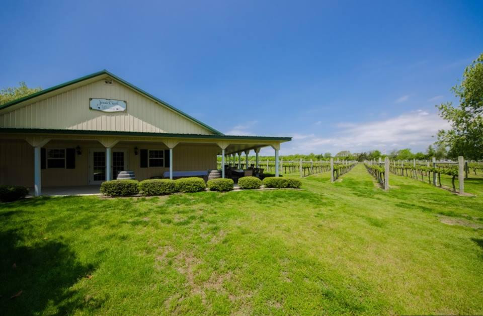 Jessie Creek Winery景点图片