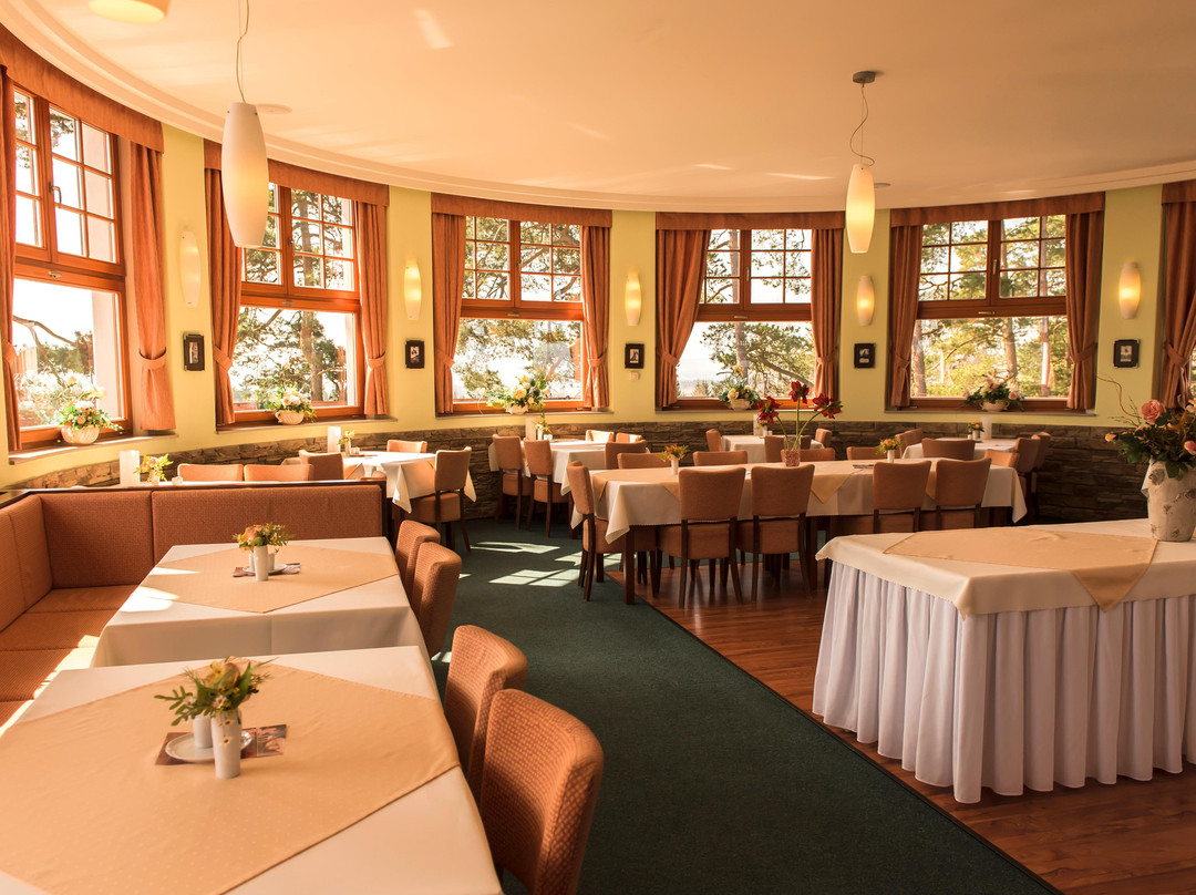 Bochov餐馆和美食-Restaurant Vitkova Hora