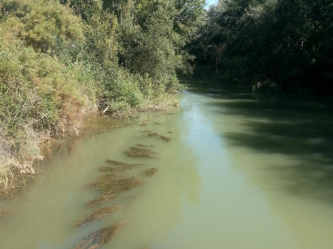 Parque Natural Municipal de la Mitjana-列伊达必去景点