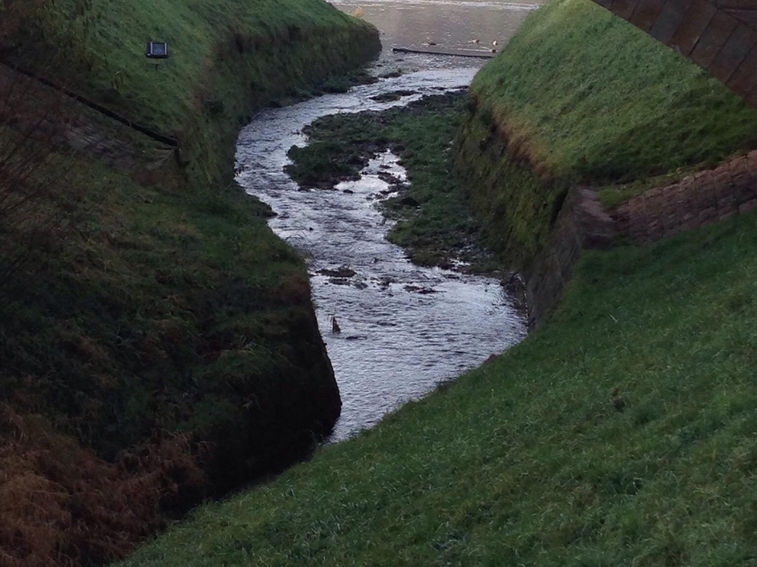 Hotel Erbgericht主图