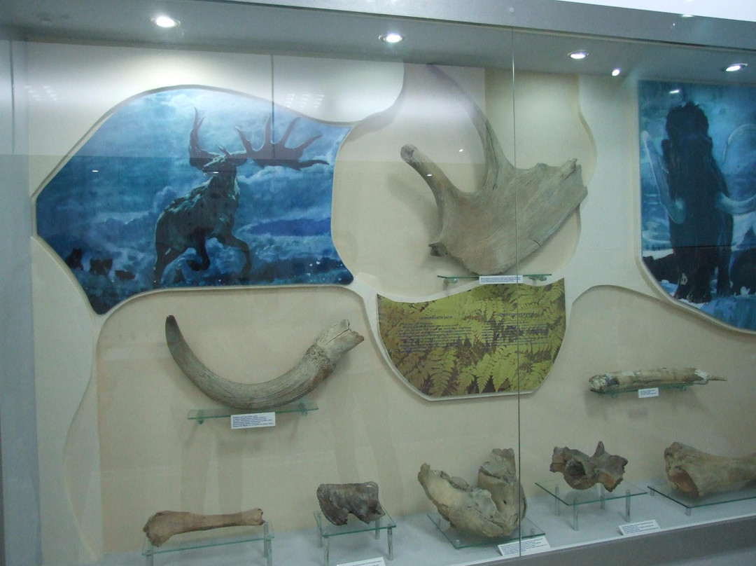 Karaganda Regional Museum-加拉干达必去景点