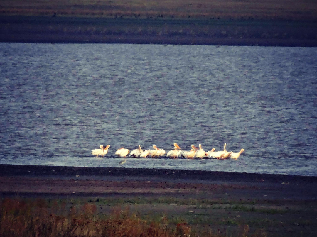Lake Arpi-Shirak Province必去景点