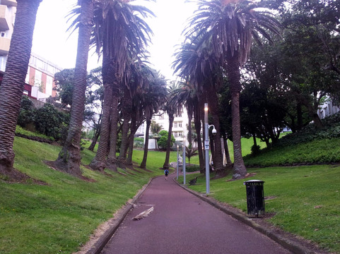 Myers Park-奥克兰中心地区必去景点