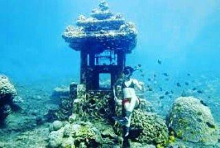 Bali Dolphin Watching Tour-登巴萨必去景点