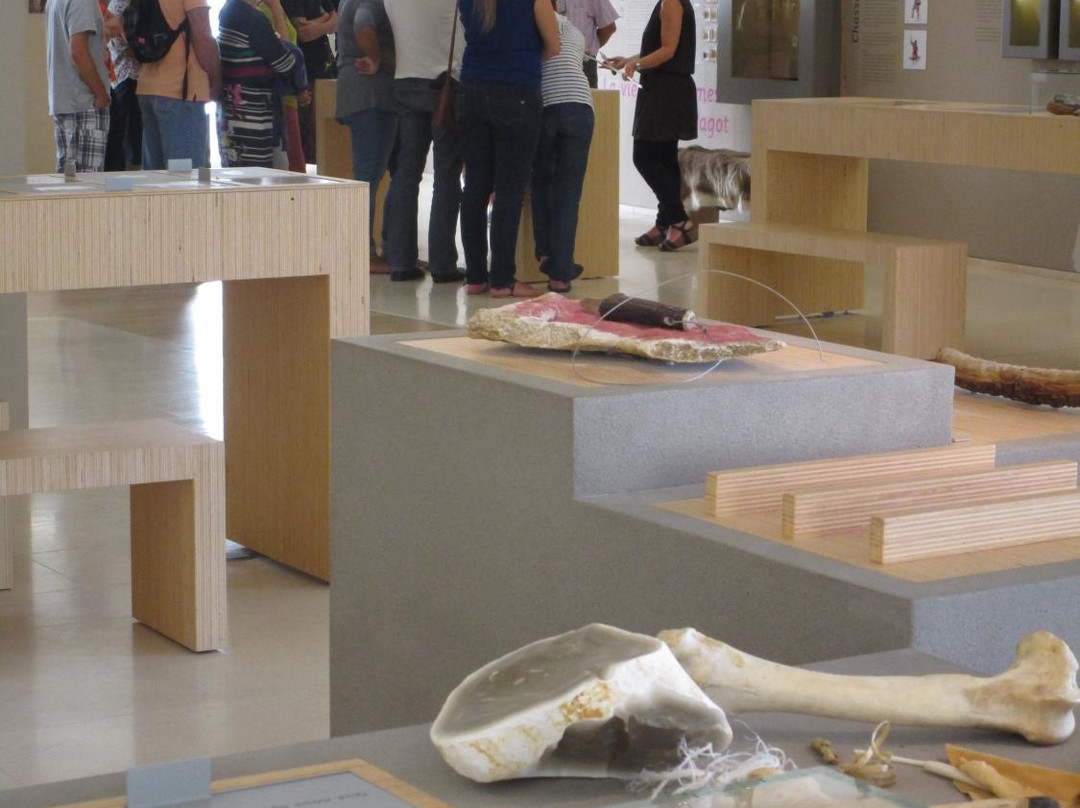 La Sabline Musee de Préhistoire景点图片