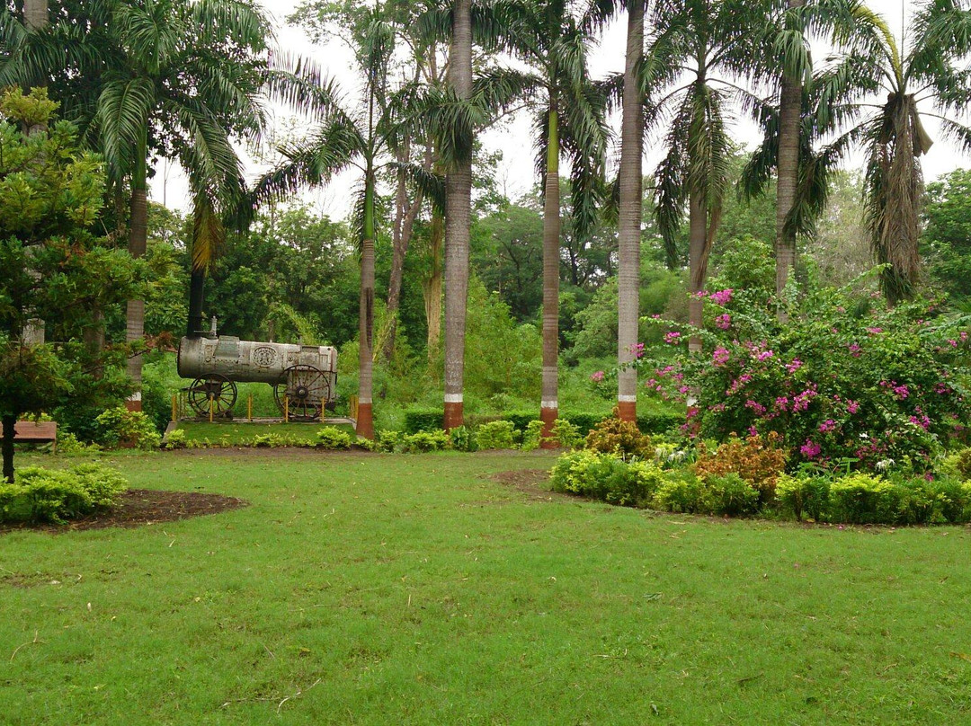 Waghai Botanical Garden景点图片