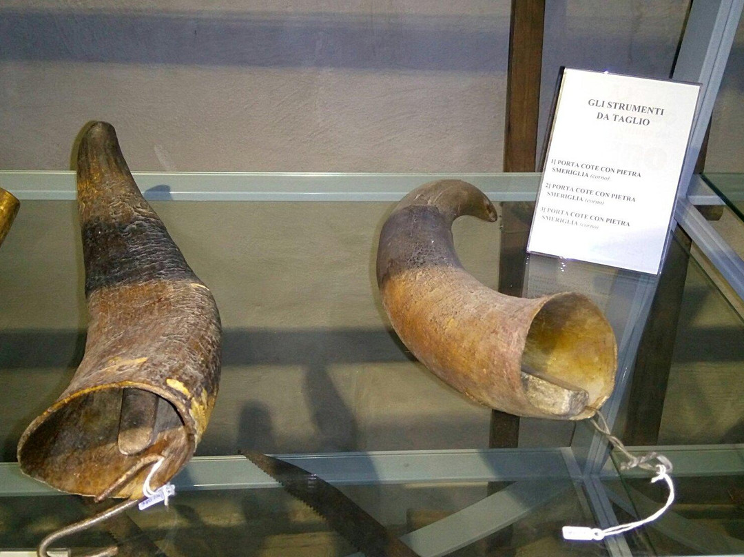 Diffused Museum of Wine-Monte Porzio Catone必去景点