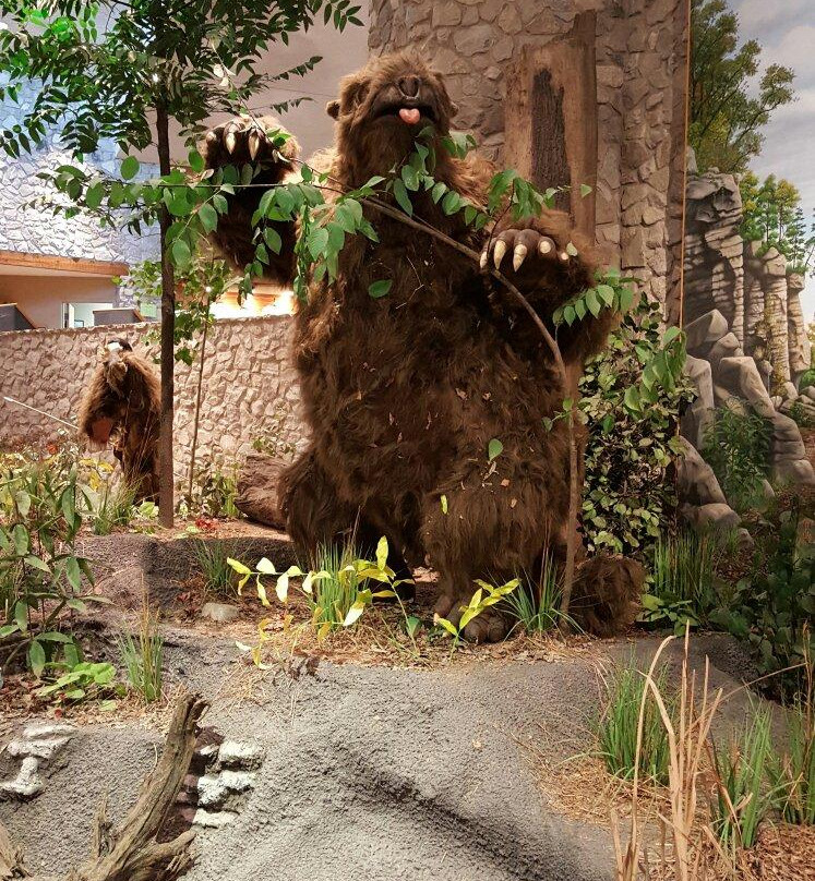 Mastodon State Historic Site景点图片