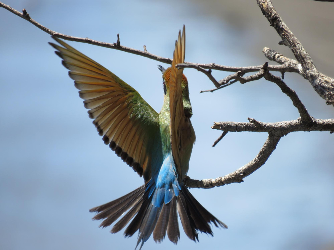 Parry Lagoons Nature Reserve-库努纳拉必去景点