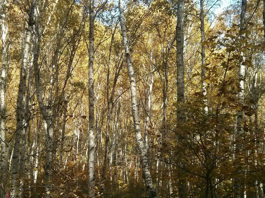 喇叭沟门国家森林公园-北京市必去景点