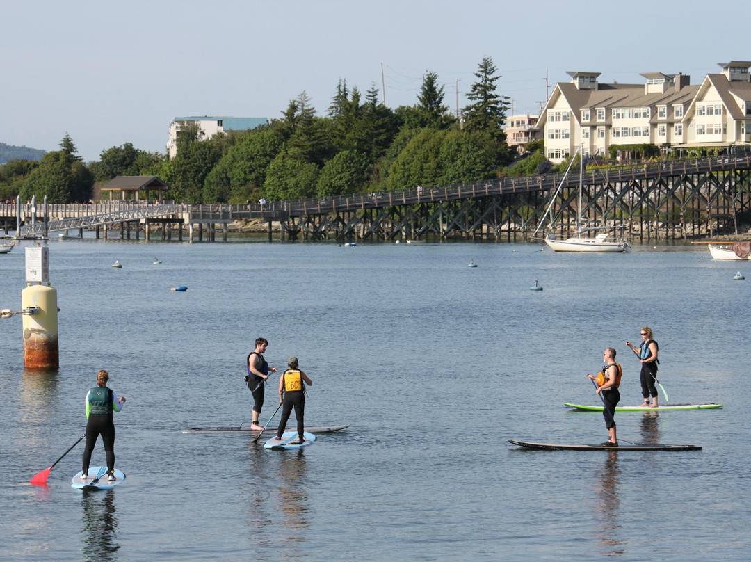 The Community Boating Center景点图片
