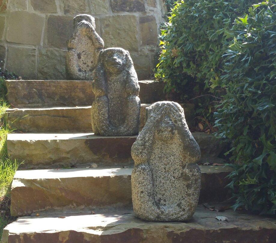 Fort Worth Japanese Garden-沃思堡必去景点