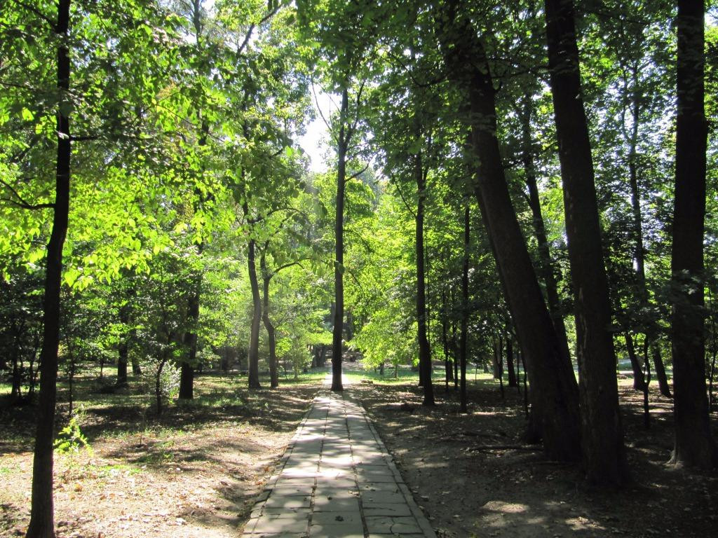 Zhovtneviy Park景点图片