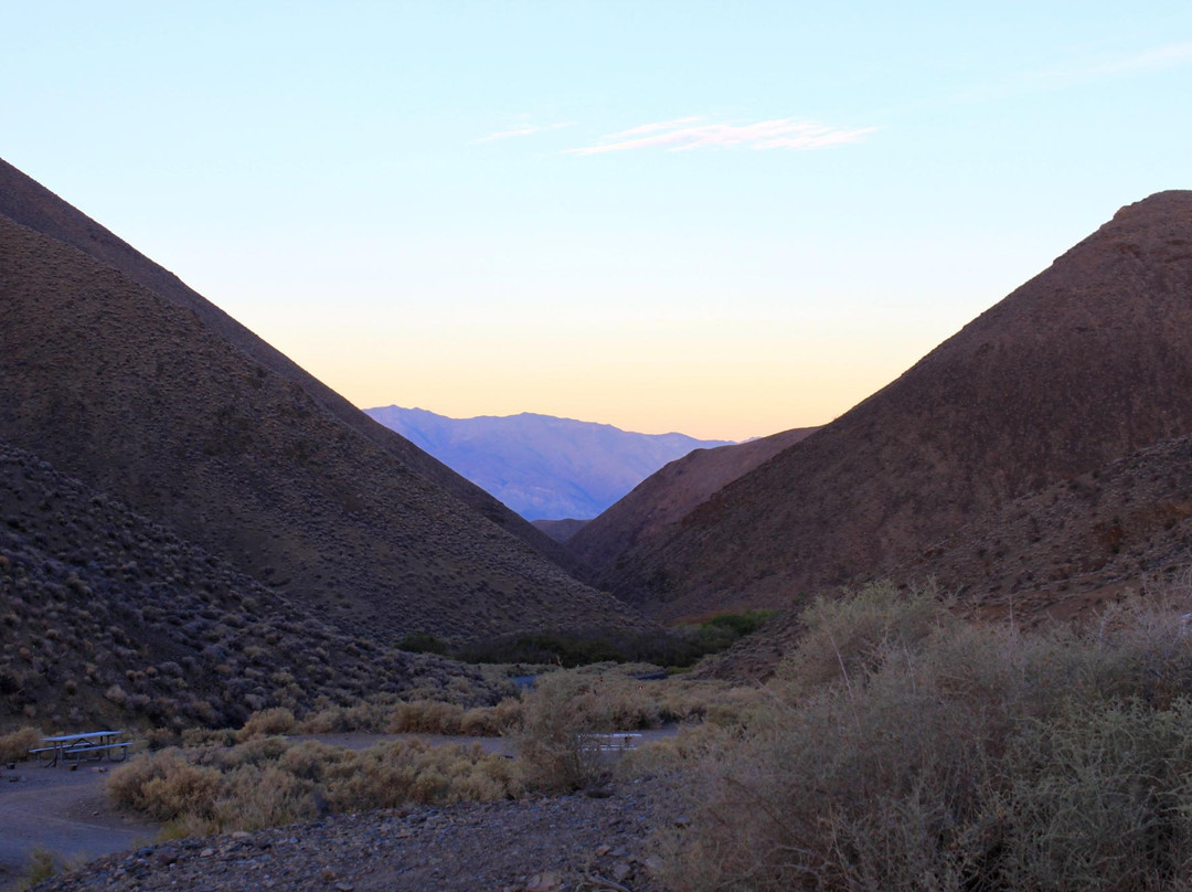 Wildrose Campground
