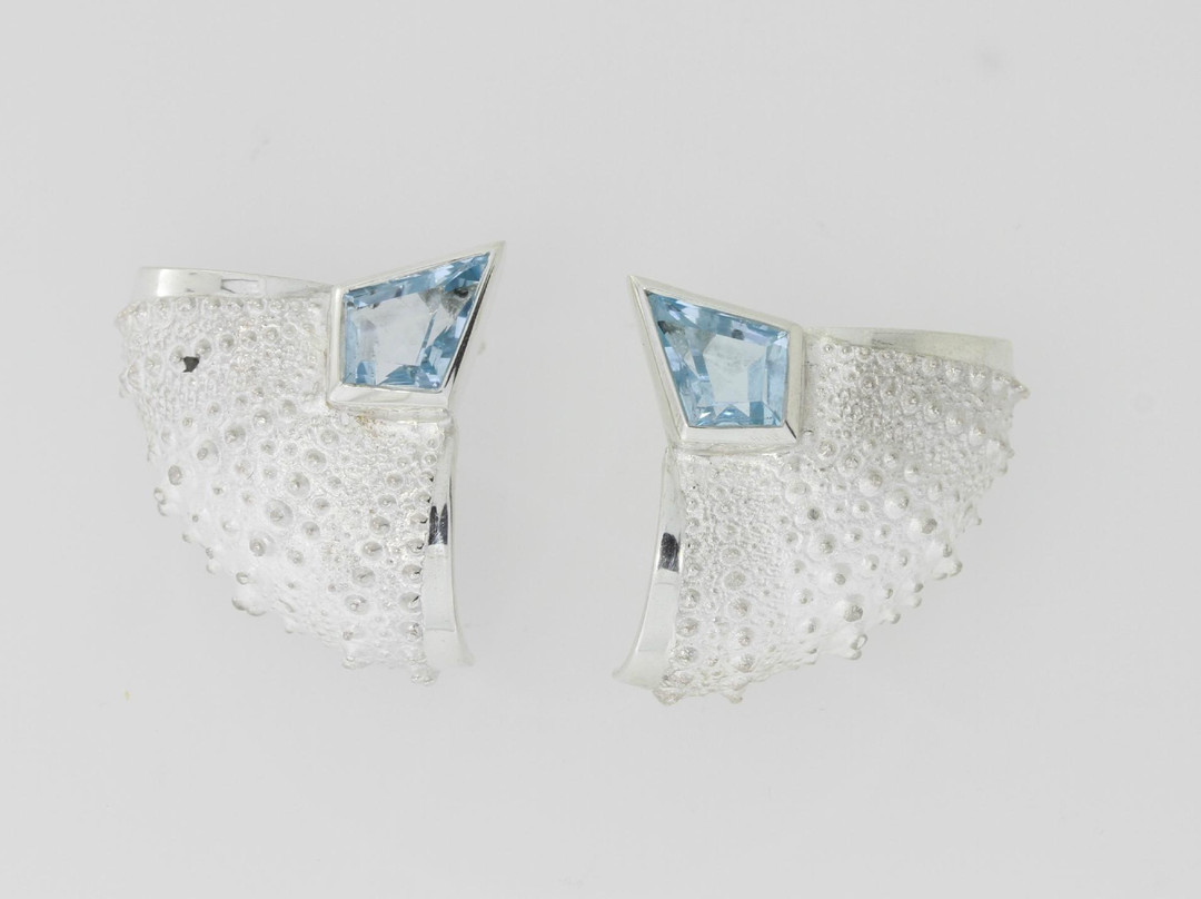 Payet Gallery景点图片