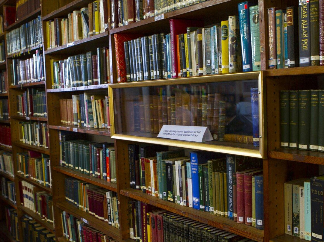 The English Library Tenerife景点图片