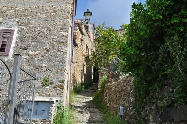 Escursioni Liguria-Tiglieto必去景点