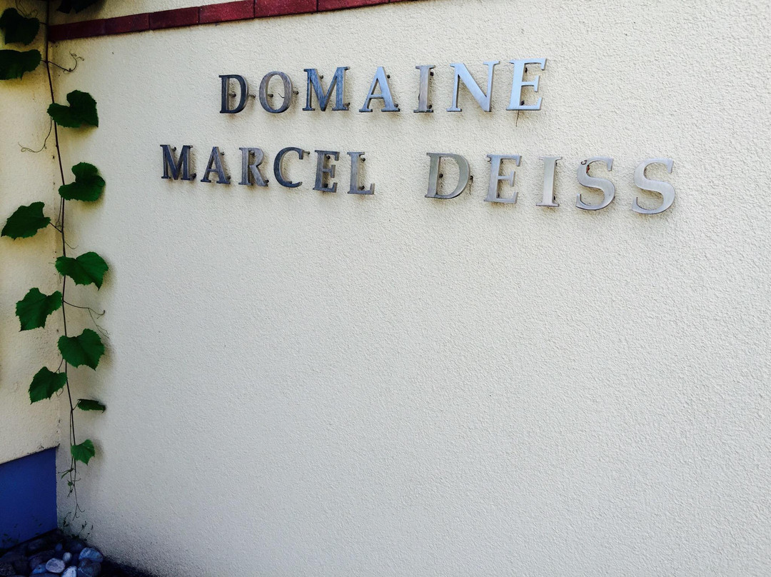 Domaine Marcel Deiss景点图片