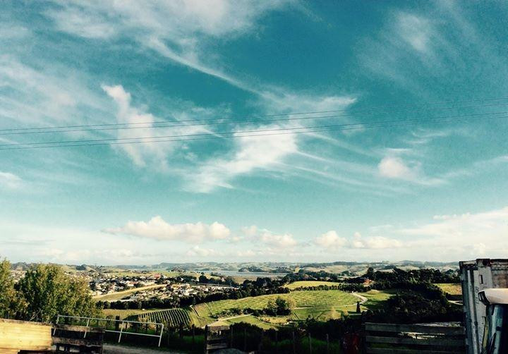 Brick Bay Sculpture Trail-Snells Beach必去景点