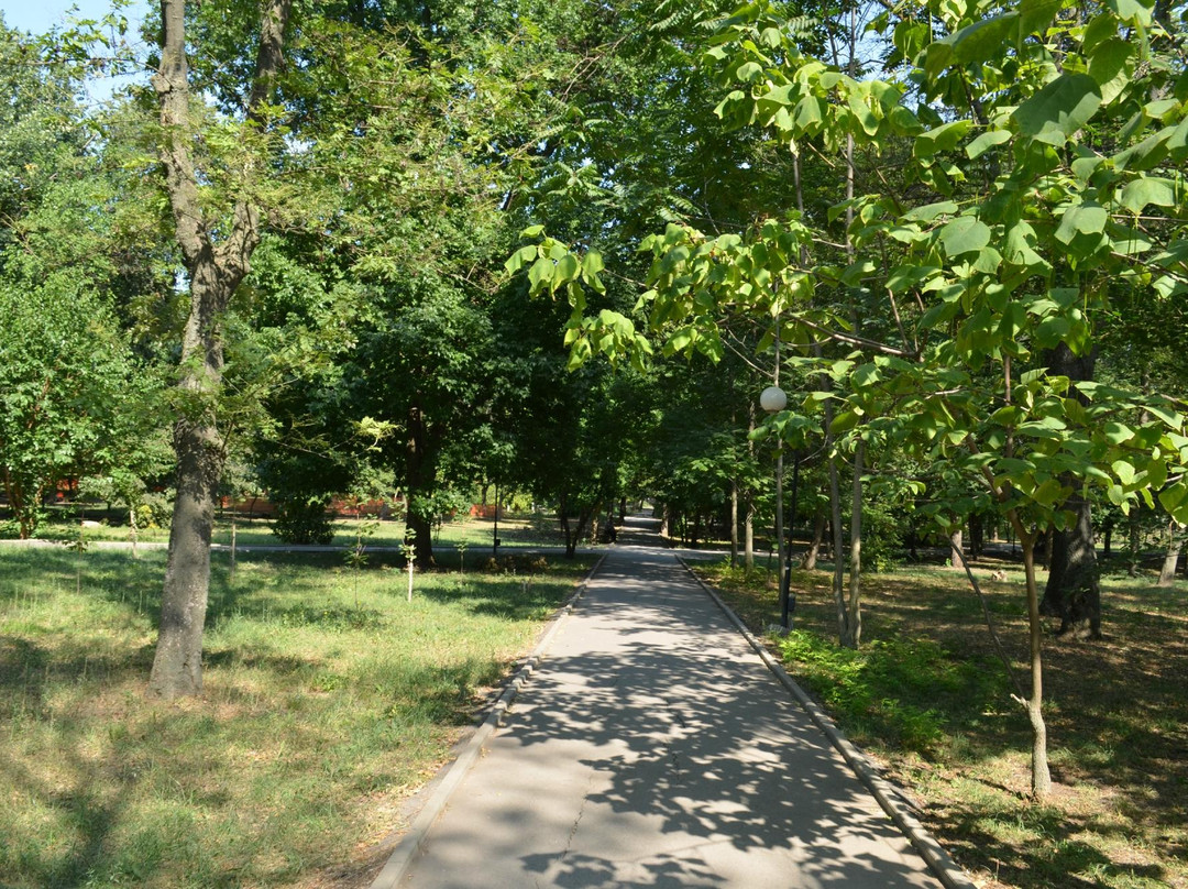 Aleksandrovkiy Park景点图片