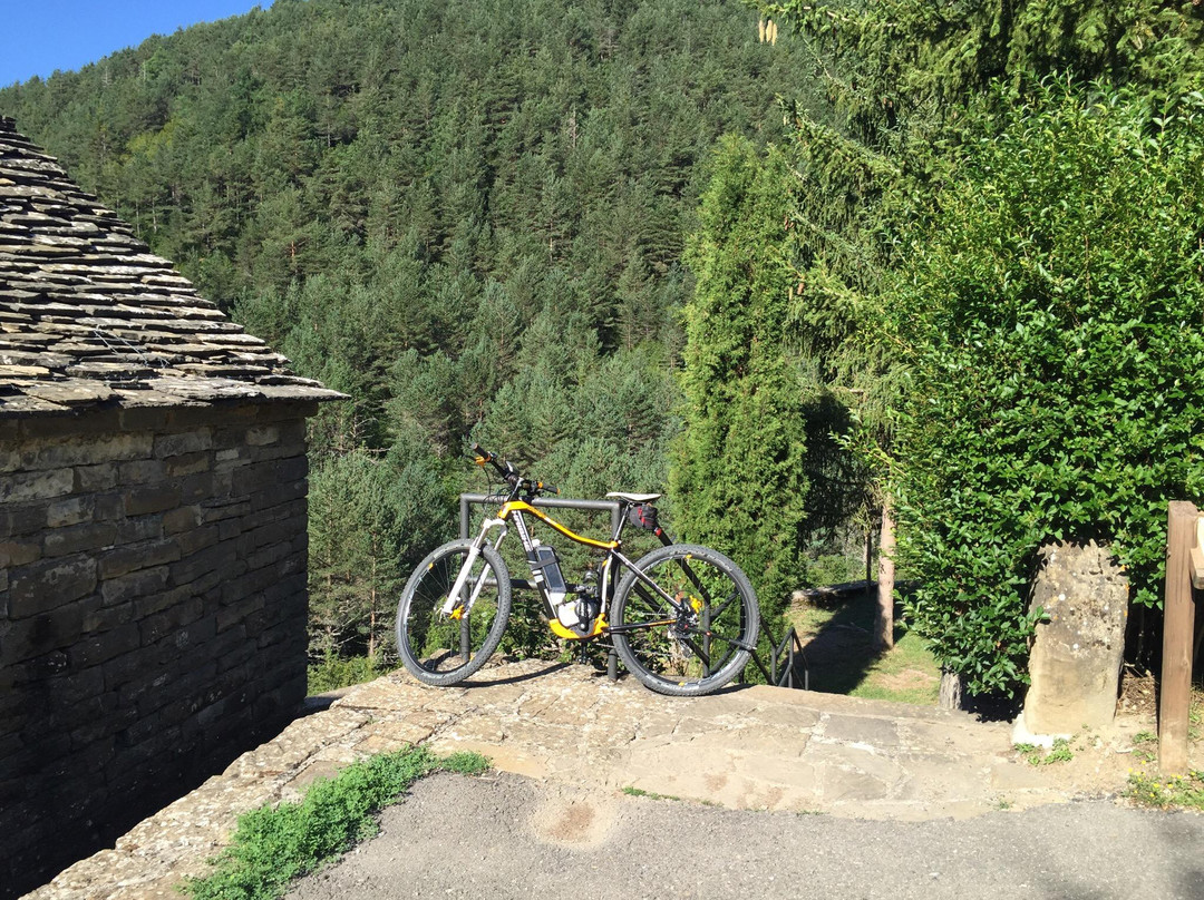 Bobi's Bikes景点图片