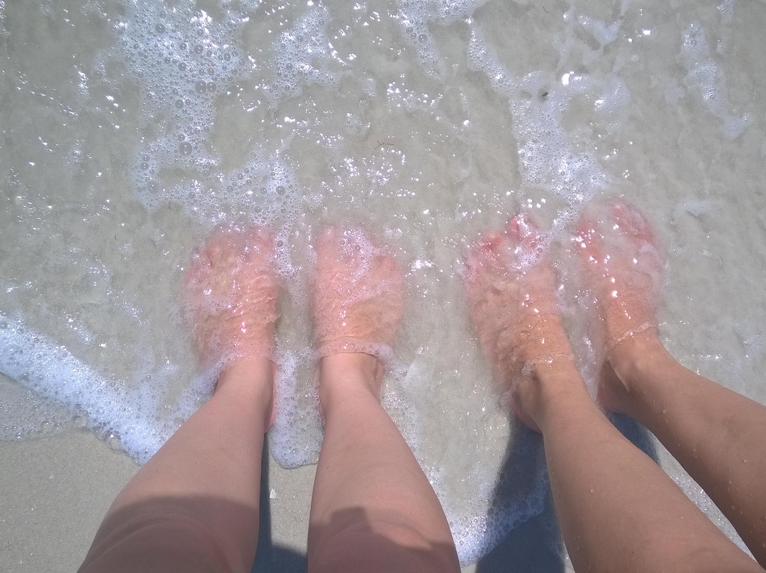 Delnor-Wiggins Pass State Park-那不勒斯必去景点