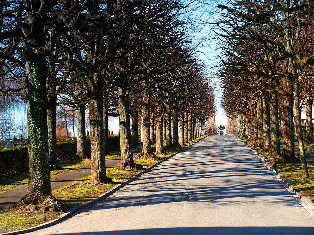 Cimetiere du Bois-de-Vaux-洛桑必去景点