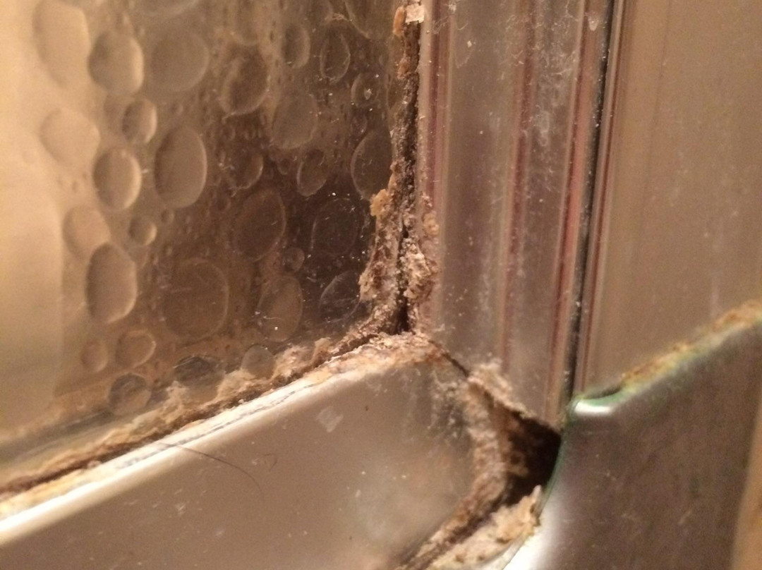 Landidyll Hotel Zum Kreuz主图