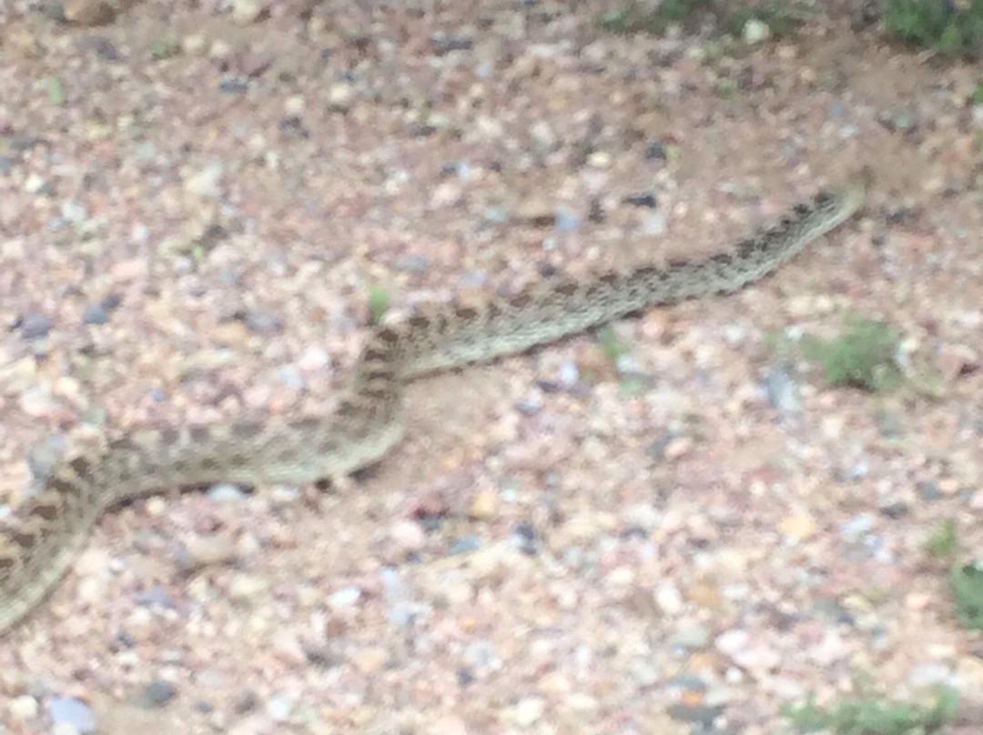 Crow Valley Recreation Area主图